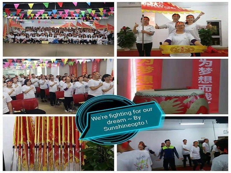 КИТАЙ Sunshine Opto-electronics Enterprise Co.,ltd Профиль компании