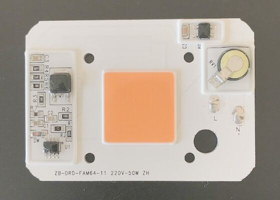 Купить DOB 50W AC220V растет светлый Driverless держатель СИД 3200k 78x55mm Производство в сети